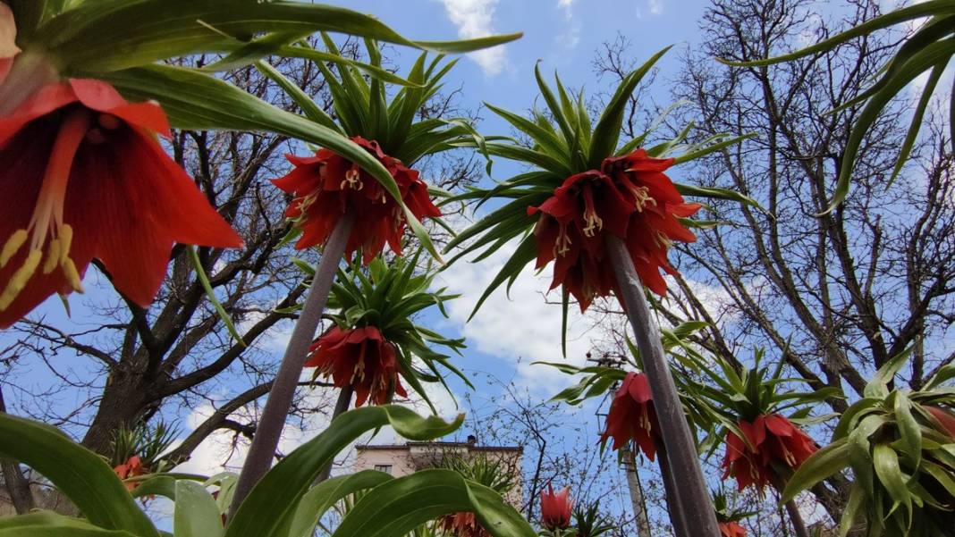 Bu insanlar neye bakıyor? Gece-gündüz nöbet tutuyorlar, ilk kez görenler şaştı kaldı! 35